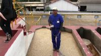 Fermentation at Monte Alegre Coffees - 2012 RG Origin Trip to Brazil by Travel and Events